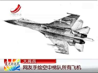 [视频]网友手绘空中梯队所有飞机