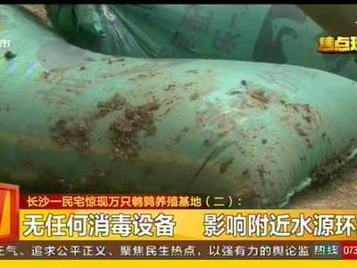 长沙一民宅惊现万只鹌鹑养殖基地