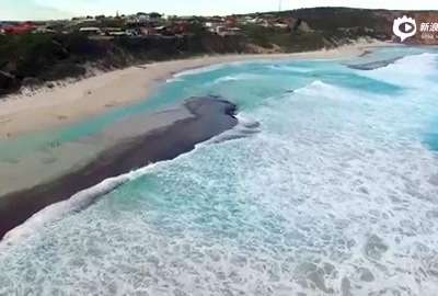 [视频]航拍成群海豚集体“冲浪” 海中尽情畅游