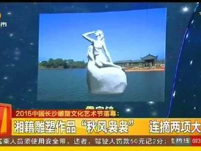 2015中国长沙雕塑文化艺术节落幕