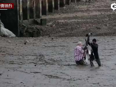 [视频]感人现场:泰国建筑工人俯身趴泥地救外国游客