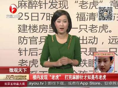 [视频]楼内发现“老虎” 打完麻醉针才知是布老虎