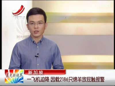 [视频]新加坡一飞机迫降 因载2186只绵羊放屁触报警