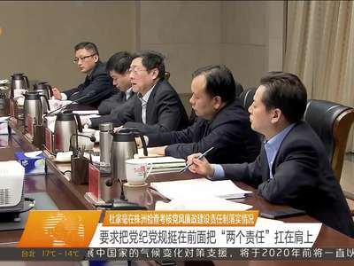 杜家毫在株洲检查考核党风廉政建设责任制落实情况 要求把党纪党规挺在前面把“两个责任”扛在肩上