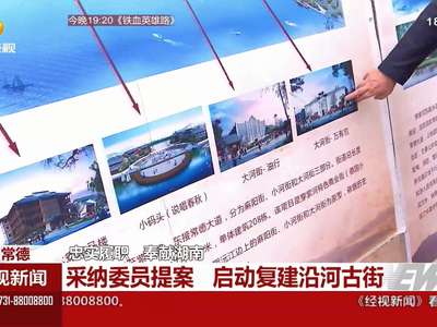 常德：采纳委员提案 启动复建沿河古街