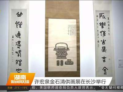 许宏泉金石清供画展在长沙举行