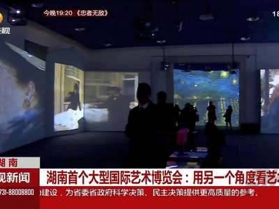 湖南首个大型国际艺术博览会：用另一个角度看艺术