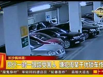 利用车锁干扰器 两男子潜入商场车库窃财