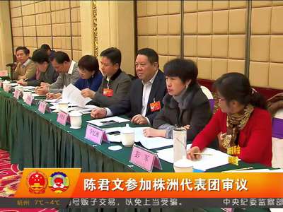 陈君文参加株洲代表团审议