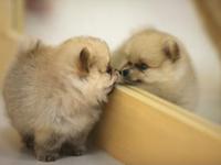 远没有图片这样平静