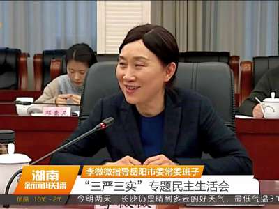 李微微指导岳阳市委常委班子 “三严三实”专题民主生活会