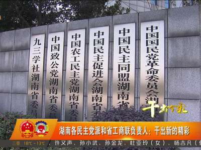 湖南各民主党派和省工商联负责人：干出新的精彩