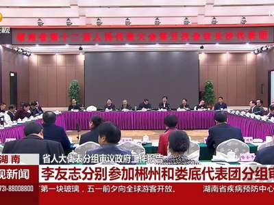 省人大代表分组审议政府工作报告