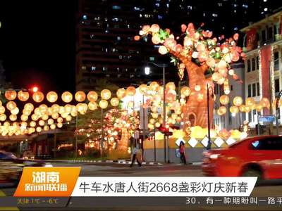 新加坡：牛车水唐人街2668盏彩灯庆新春