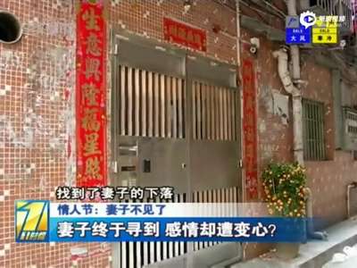 [视频]妻子情人节再次失联 丈夫曾推门发现惊人一幕