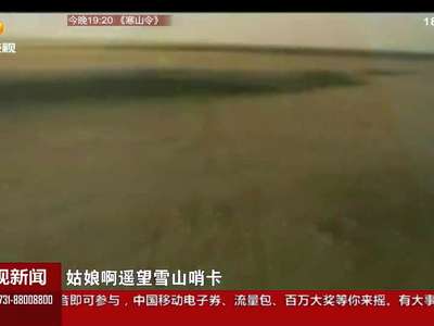 新疆：追忆“杏花局长”陈书国