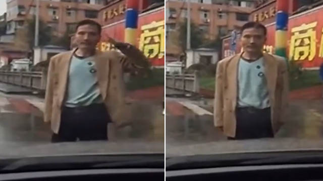奇葩！男子敬个礼再上演碰瓷