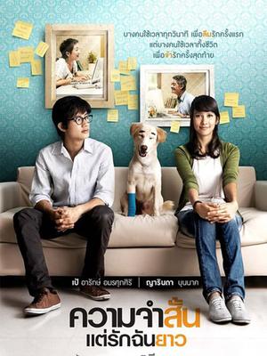 Love movie - 爱久弥新