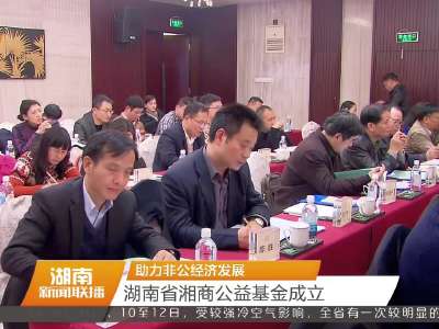 助力非公经济发展 湖南省湘商公益基金成立
