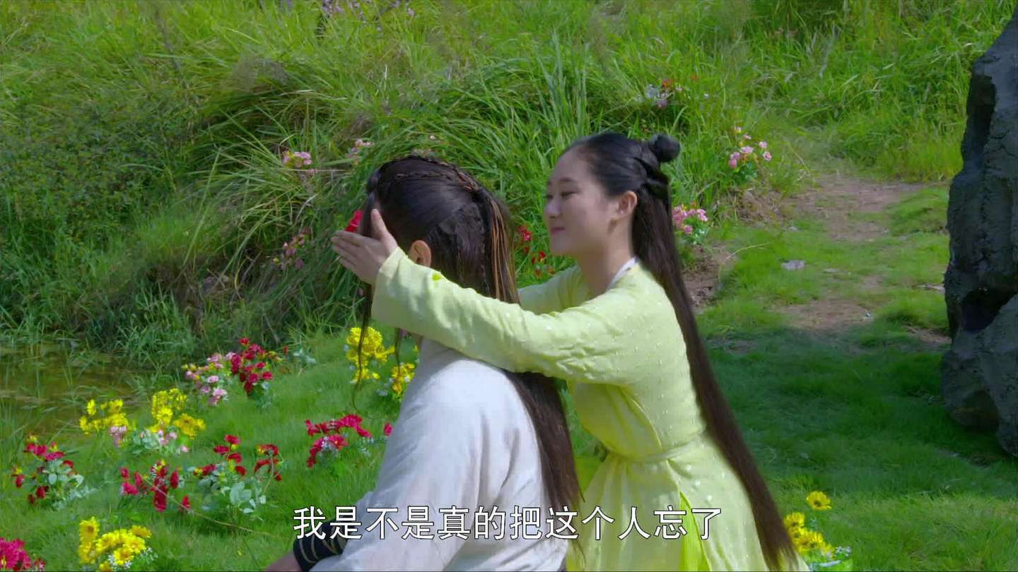 苏染染追夫记-全集高清在线观看和下载-电视剧-华数tv