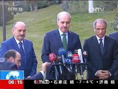 [视频]伊斯坦布尔旅游景区发生爆炸：土方称爆炸袭击者来自叙利亚