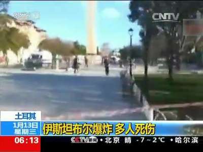 [视频]土耳其：伊斯坦布尔爆炸 多人死伤