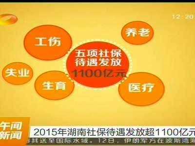 2015年湖南社保待遇发放超1100亿元