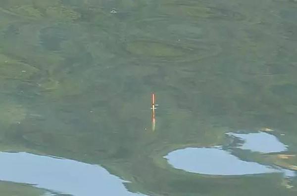 如何才能让我们的浮漂呈现漂亮清晰的顿口 你