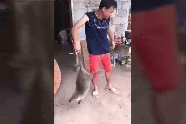 男子捕获到一只30斤重的大老鼠, 网友: 这老鼠能把猫吃了