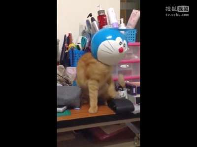 [视频]蠢哭了！猫咪头卡在哆啦A梦头盔拔不出来
