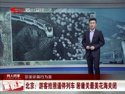 [视频] 北京：游客拍照逼停列车 居庸关最美花海关闭