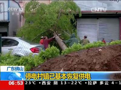[视频]广东佛山:暴雨大风突袭 23人受伤