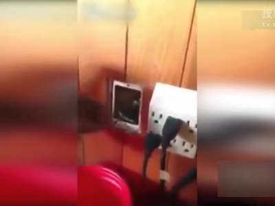 [视频]老鼠太胖脑袋被卡插座 小腿乱蹬笑坏房主