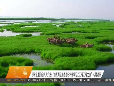 部分全国和省人大代表“加大洞庭湖生态区水环境综合治理治理力度”专题调研