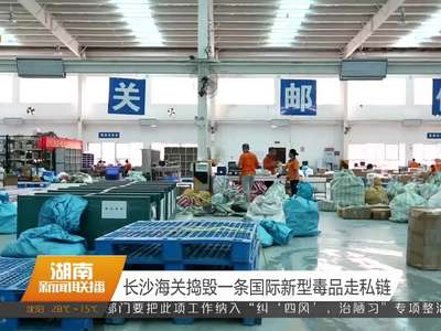 长沙海关捣毁一条国际新型毒品走私链