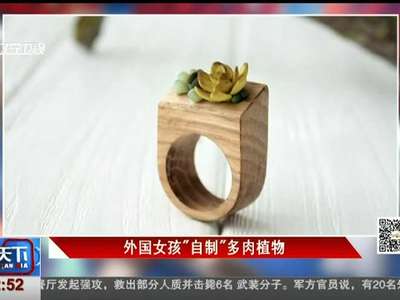 [视频]外国女孩“自制”多肉植物
