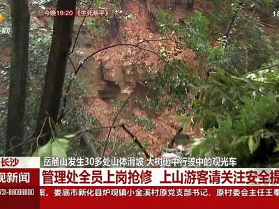 岳麓山发生30多处山体滑坡 管理处全员上岗抢修