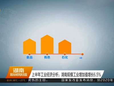 上半年工业经济分析：湖南规模工业增加值增长6.5%