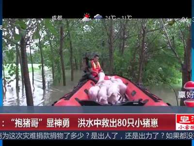 [视频]武汉：“抱猪哥”显神勇 洪水中救出80只小猪崽