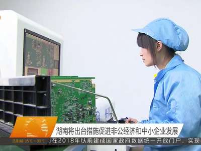 湖南将出台措施促进非公经济和中小企业发展