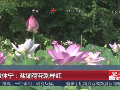[视频]安徽休宁：盐铺荷花别样红
