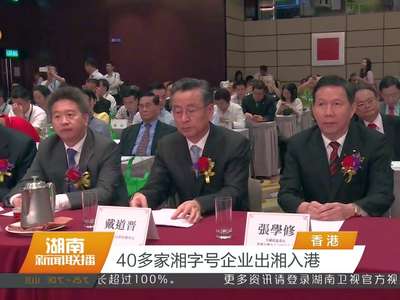 40多家湘字号企业出湘入港