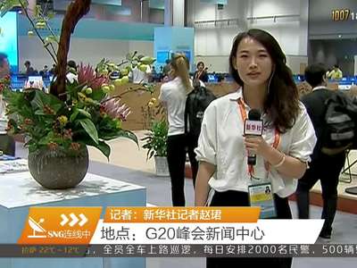 国内外媒体记者交流“神器”：双语电话