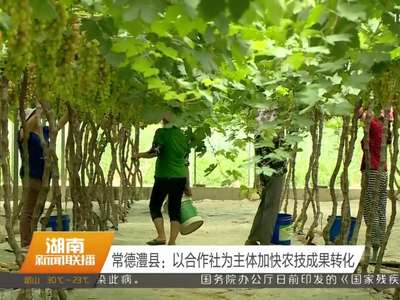 常德澧县：以合作社为主体加快农技成果转化