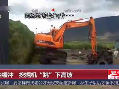 [视频]轮胎缓冲 挖掘机“跳”下高坡