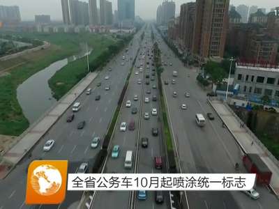 全省公务车10月起喷涂统一标志