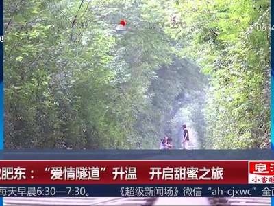 [视频]安徽肥东：“爱情隧道”升温 开启甜蜜之旅