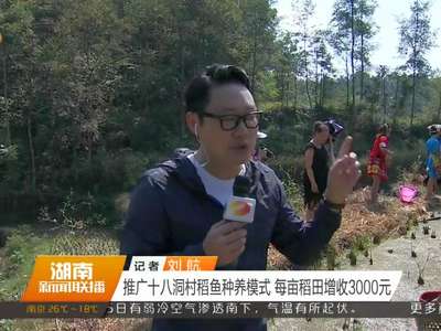 推广十八洞村稻鱼种养模式 每亩稻田增收3000元