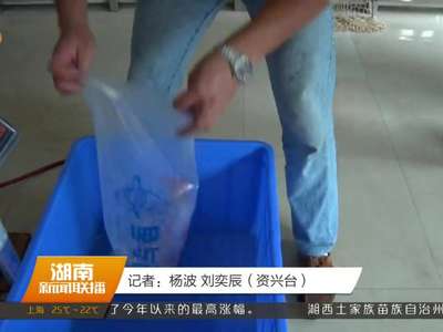 郴州资兴：东江湖活鱼新鲜带回家