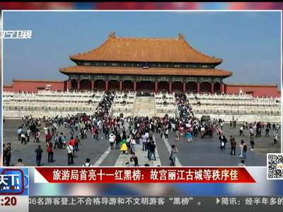 [视频]旅游局首亮十一红黑榜：故宫丽江古城等秩序佳